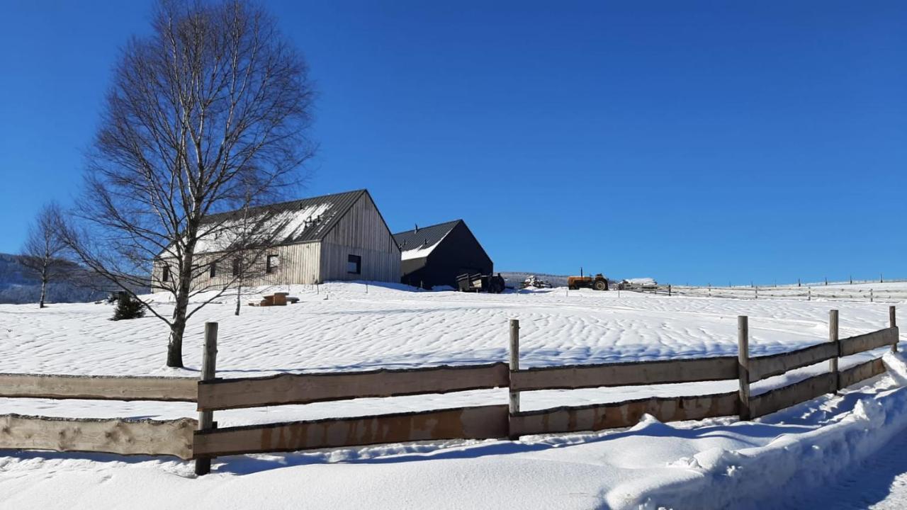 Wzgorze Owiec Sheep Hill Mostowice Exterior photo